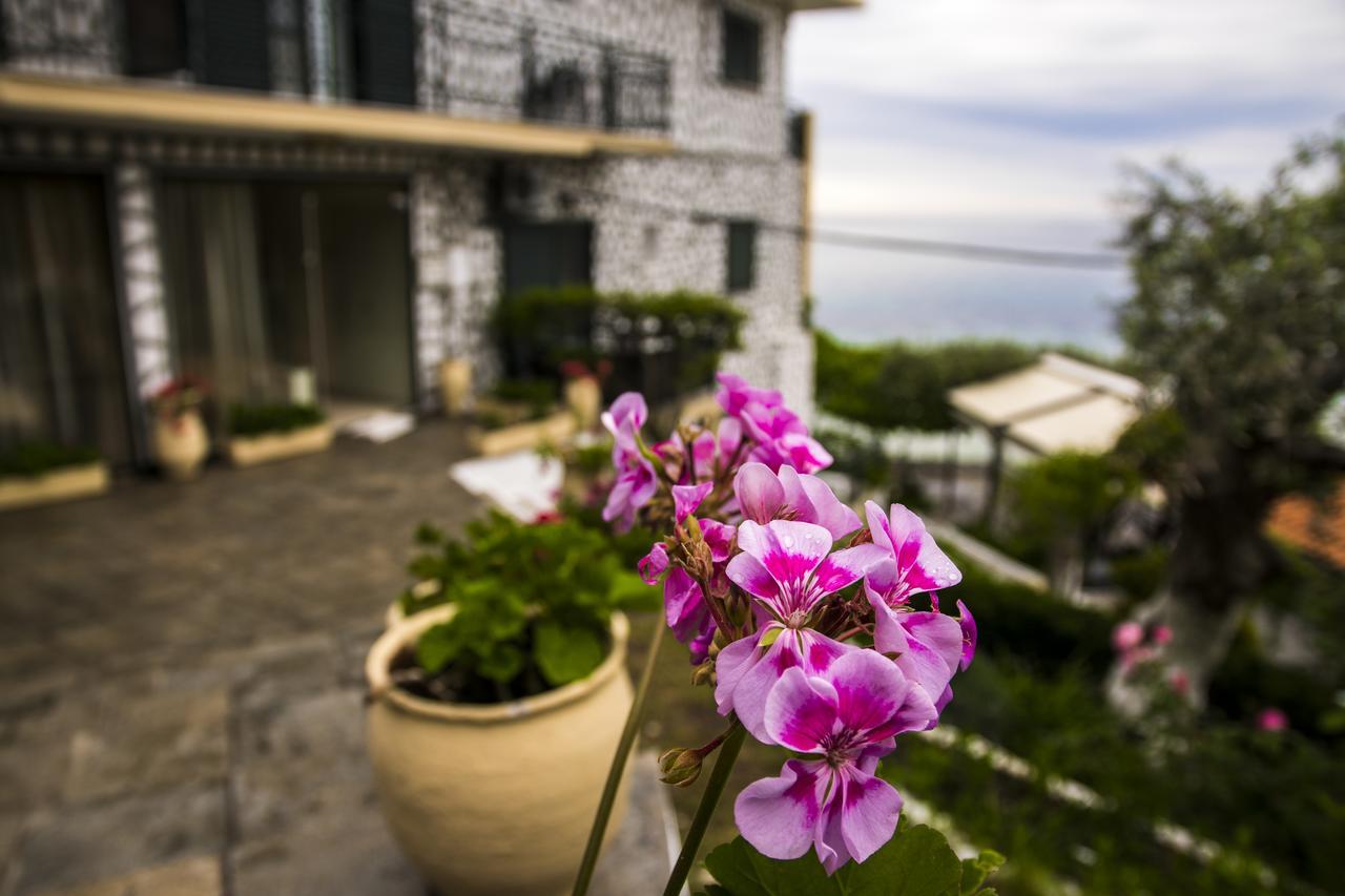 Hotel Villa Nisteri タソス エクステリア 写真